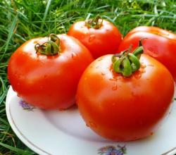 Как хранить спелые помидоры Как надолго сохранить помидоры