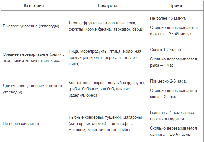 За какое время переваривается пища у человека